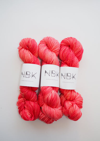 Northbound Knitting BFL/Nylon Sock