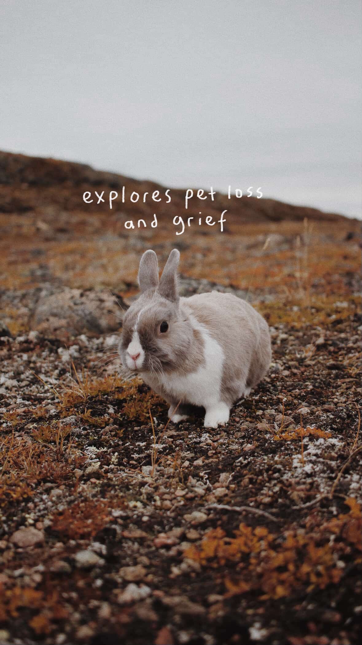 Saskie Knits - Pre-Order