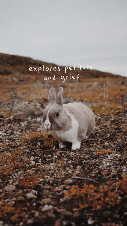 Saskie Knits - Pre-Order