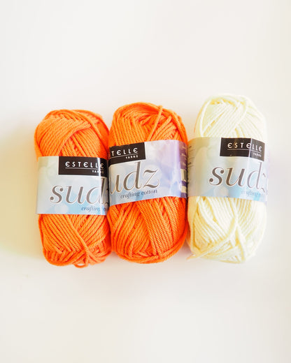 Crochet Workshop: Checkered Water Bottle Holder - Starting Jan 11th, 2026