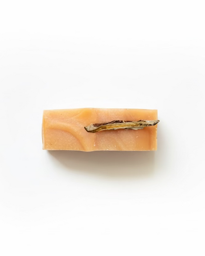 Do Not Eat: Citrus Scrub Soap Bar