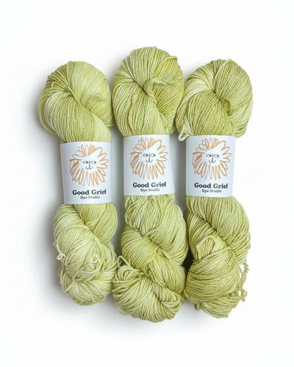 Estudio Good Grief Dye: Luce